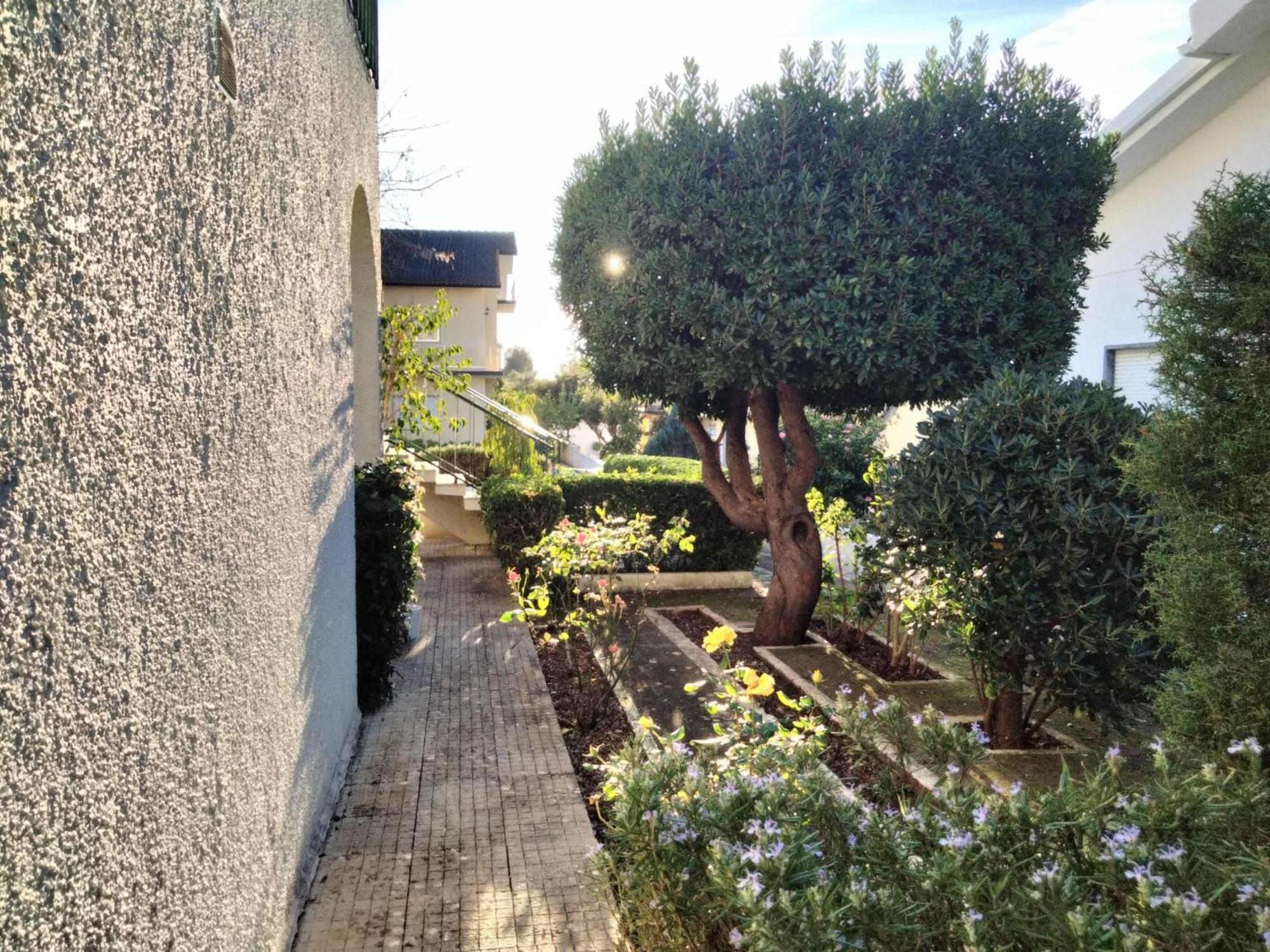 Casa Xantarim Bed and Breakfast Santarém Exteriör bild